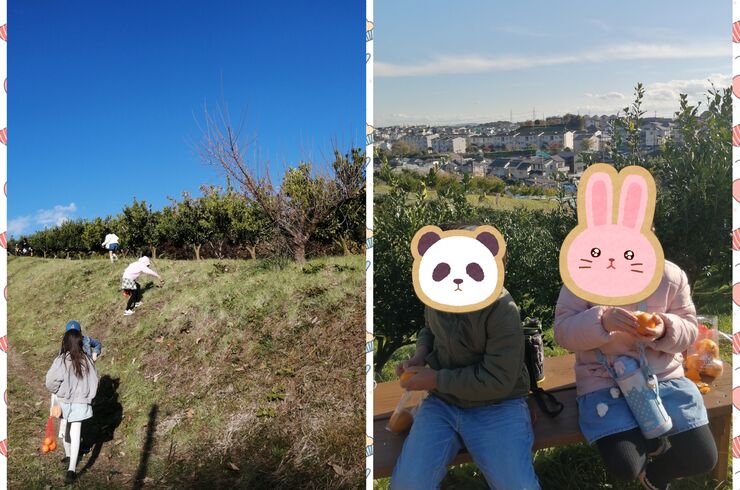 25-01-28-19-20-57-457_deco