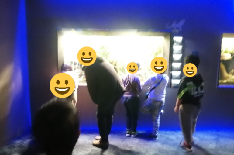 autofacestamp_1686530566495
