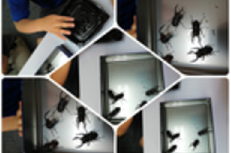 thumbnail_3f1b6385-bd1b-4fab-bea2-26fccde2ec23