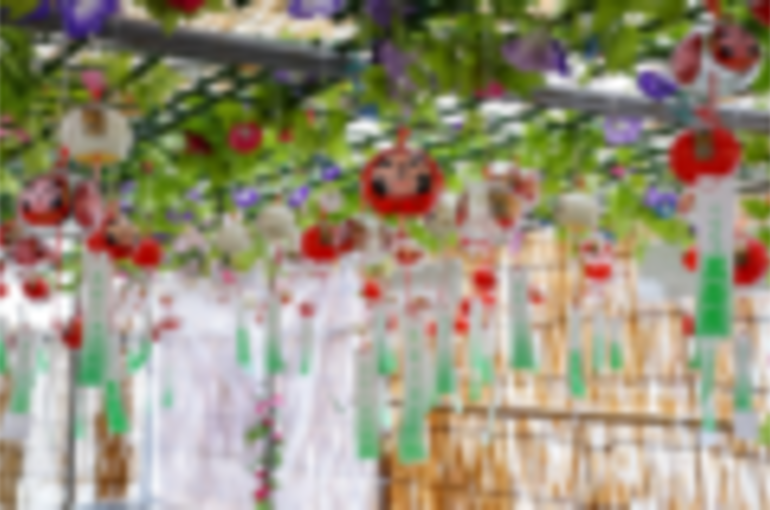 thumbnail_9dc98932-8577-4e6c-b7e0-4c8018fcb0d7