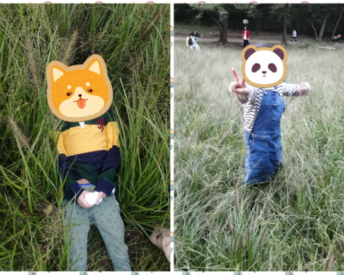 PhotoCollage_1730257238557