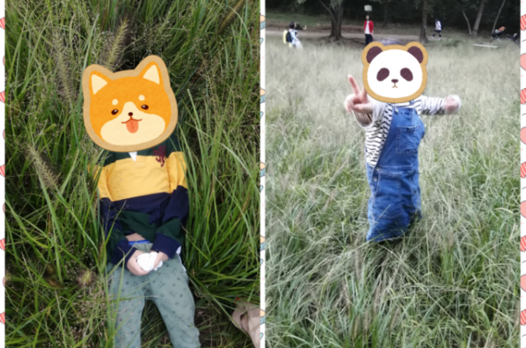 PhotoCollage_1730257238557